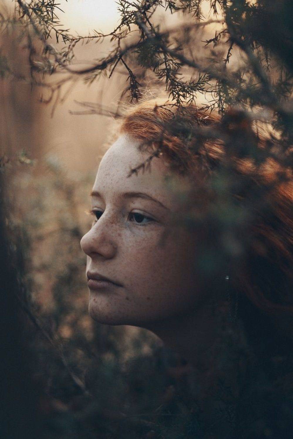 35mm, 4x5, 6x6, 6х6, 85mm, Art, Artnude, Ballerina, Ballet, Battur, Beautiful, Beauty, Canon, Canon 5D Mark III, Car, Color, Dance, Dress, Emotion, Eyes, Face, Flowers, Ganzo, Genre, GirlHair, Hero,LightLilac, Model, Mongol, Mongolia, Вероника Гергерт