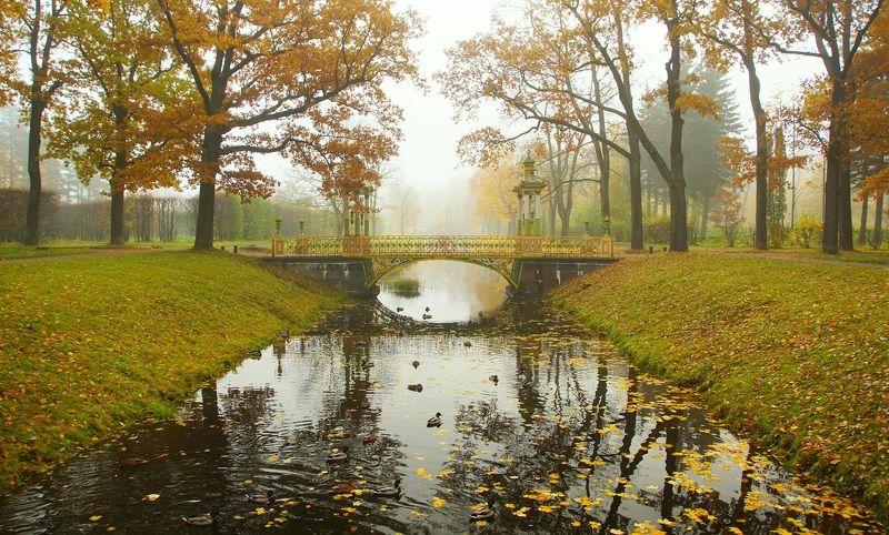 Autumn morning фото превью