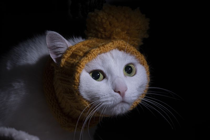 фото превью