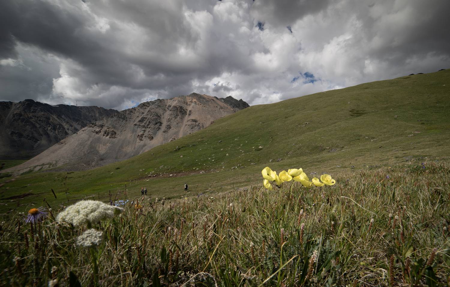 , Закаляпин Денис