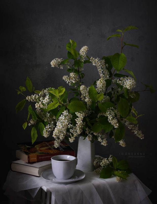 Morning coffe фото превью