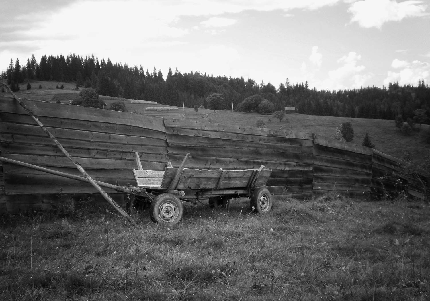 , Савоцкий Роман