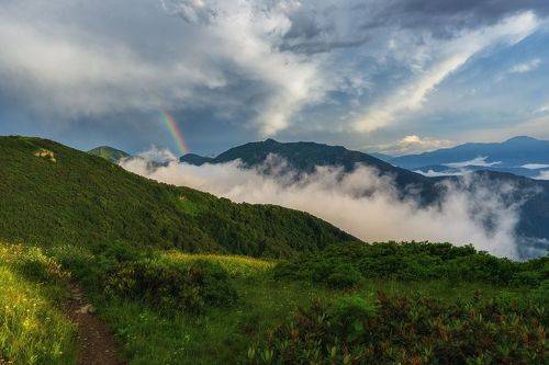 После дождя