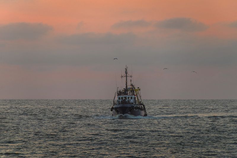 В море и с моря фото превью