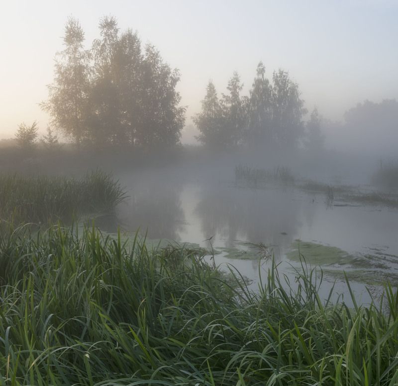 Последний день лета фото превью