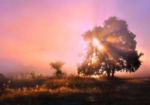 За гранью пробуждения