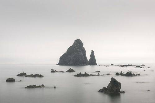 Приморье - Дальневосточный морской заповедник