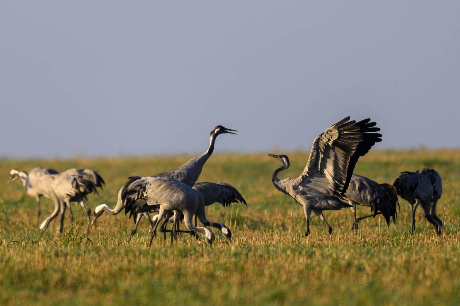 , Пупонин Сергей