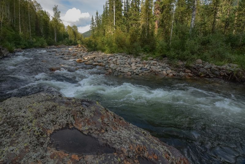 россия, хакасия, кузнецкий алатау, лето, вечер, река казыр, пороги, лес, камни Вечер на реке Казыр фото превью