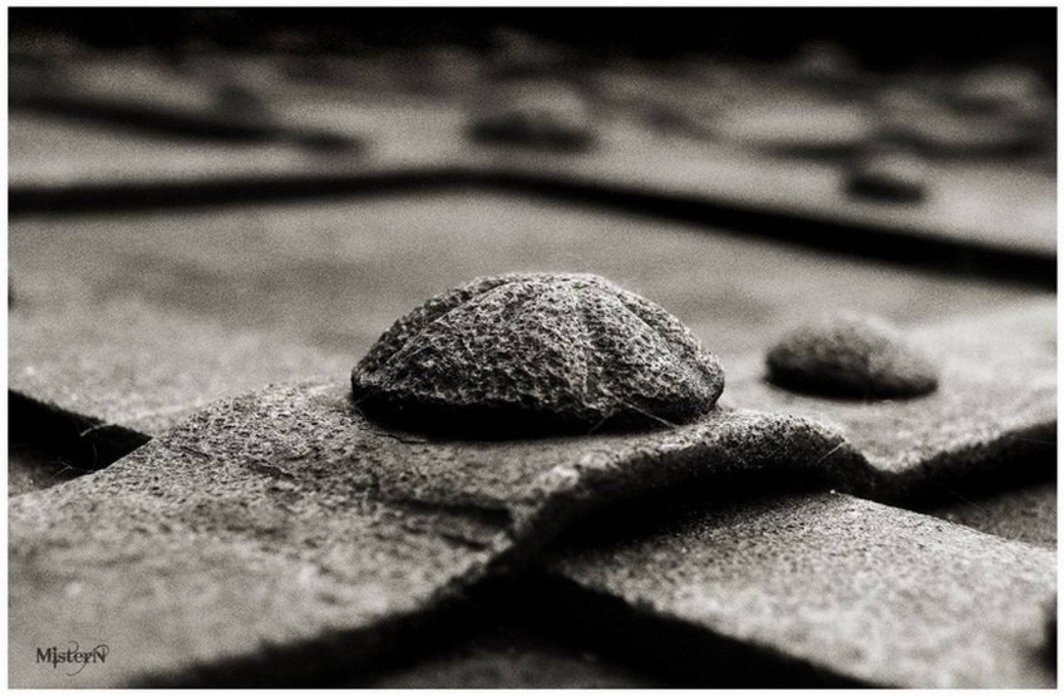 чернигов,елецкий монастырь,ворота,заклепки,mistern, MisterN