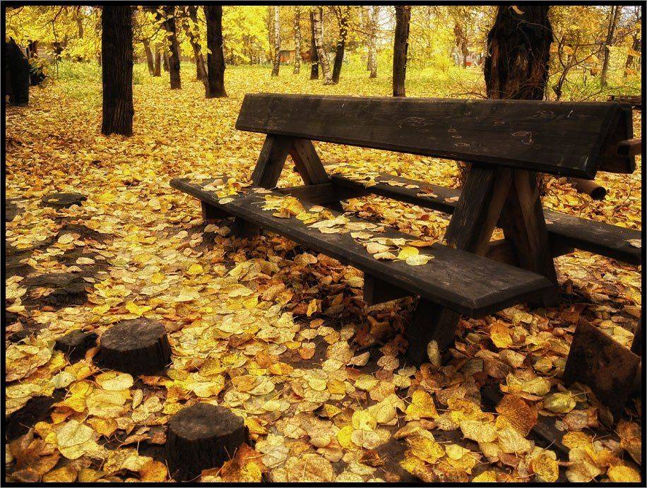 , Лунный Ежик