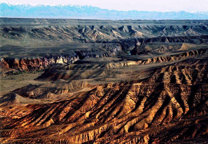 , ИГОРЬ МЕЛЬНИКОВ