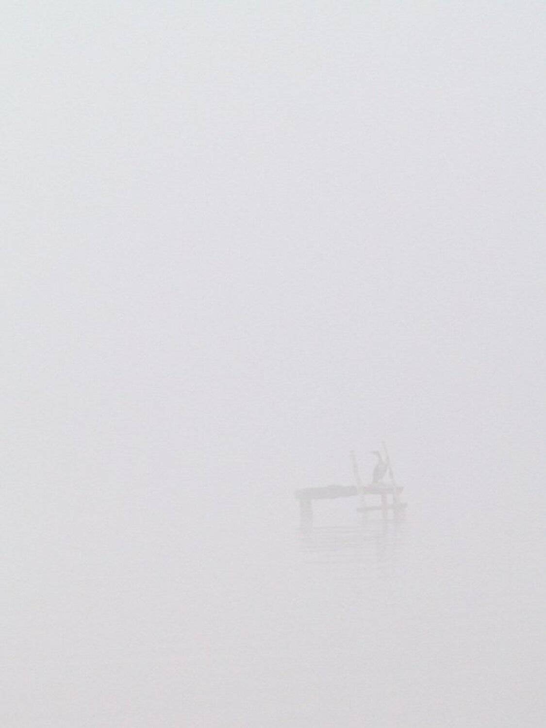 туман, баклан, yaschuk