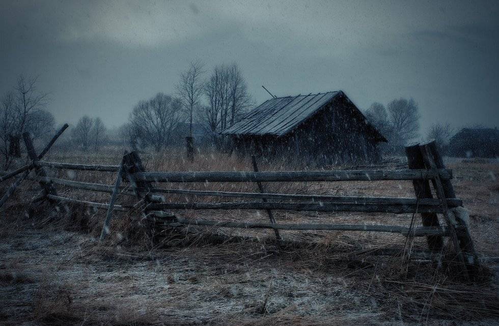 , Владимир Липецких