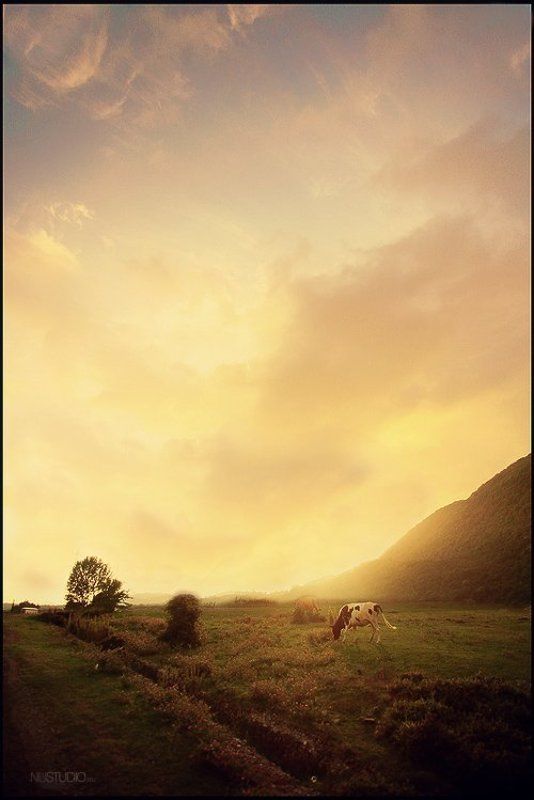 *Абхазия* фото превью