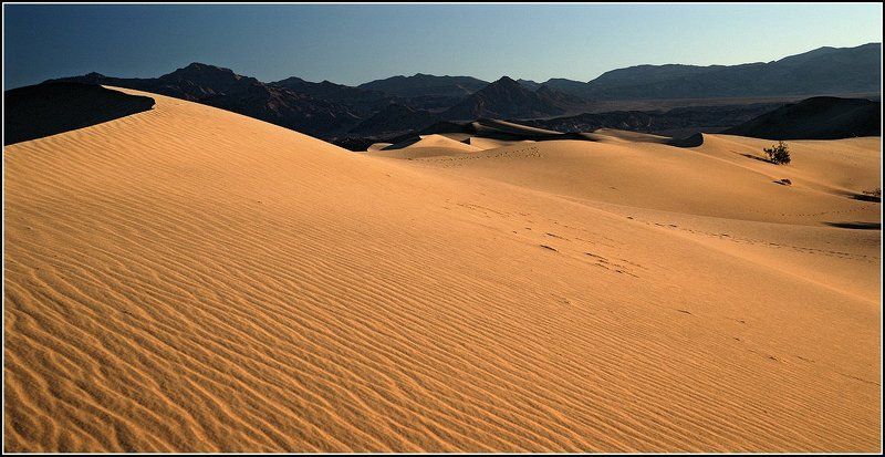 Долгая дорога в дюнах(3) фото превью