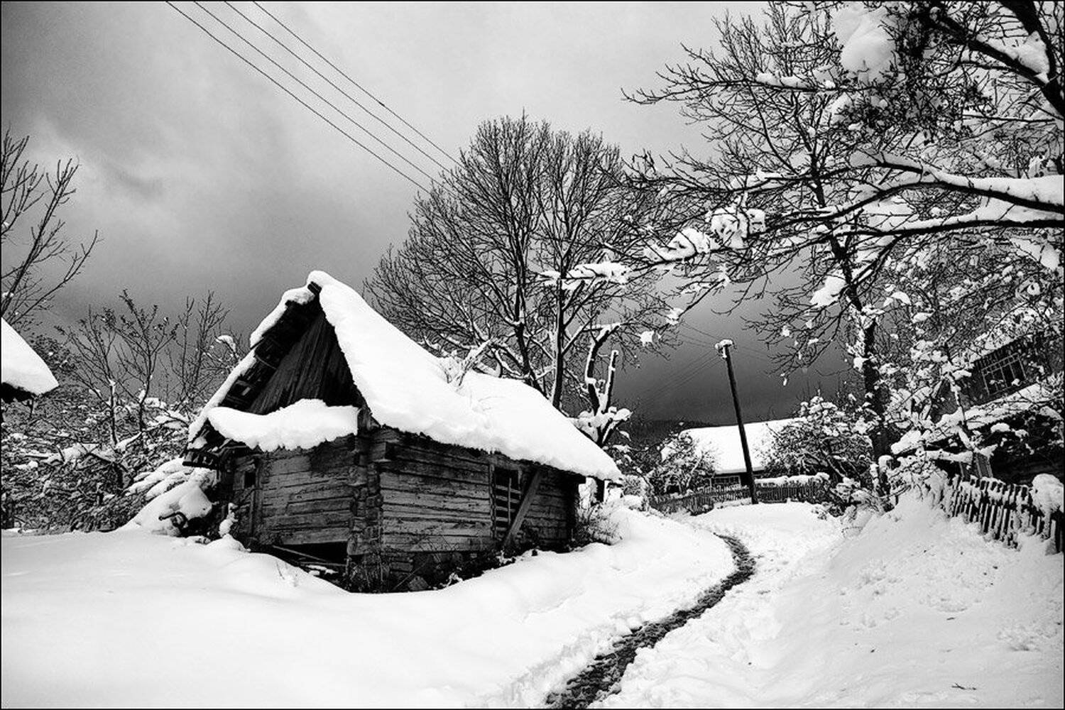 карпаты, 2009, nikodim