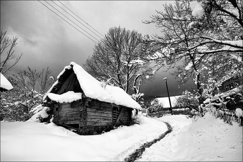 карпаты, 2009 *** фото превью