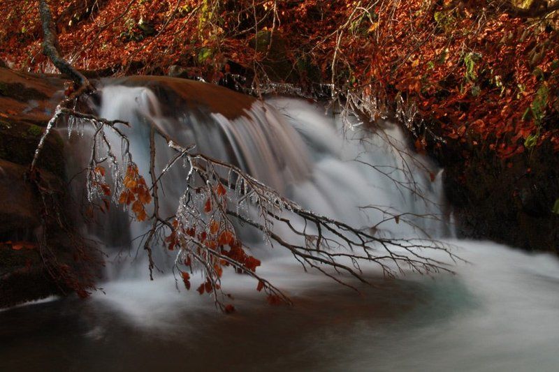 Осень фото превью