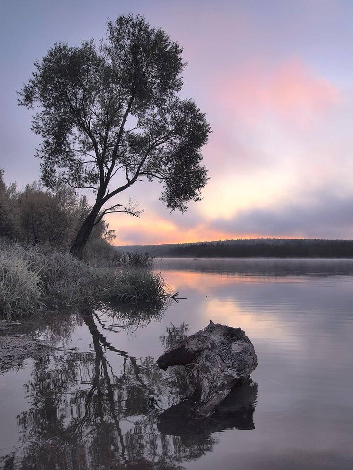 , Максим Евдокимов