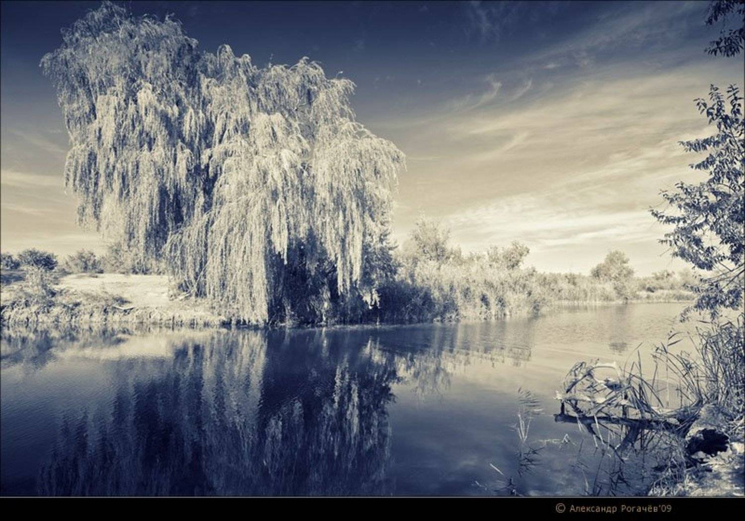 анапа,пейзаж,осень, Александр Рогачёв