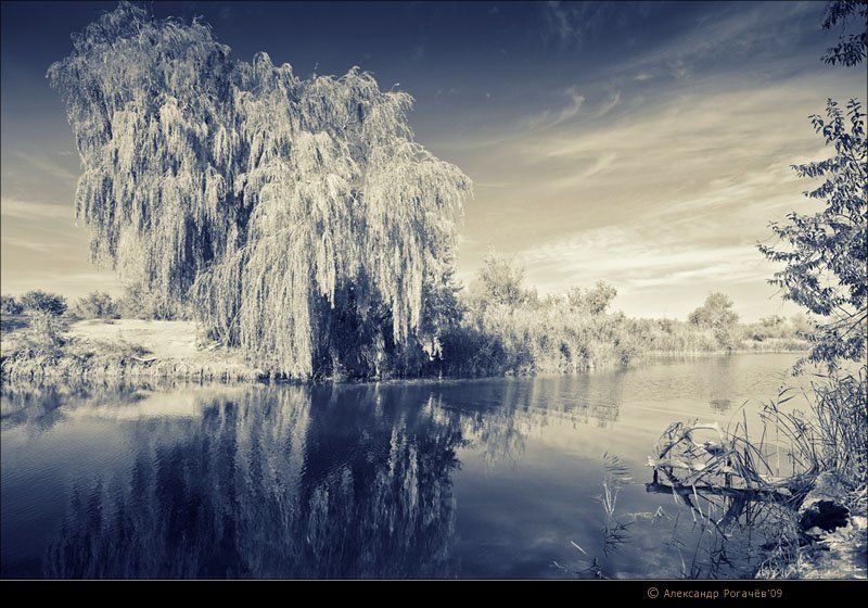 анапа,пейзаж,осень Пейзаж в альтернативных тонах. фото превью