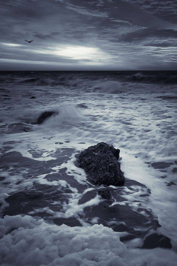 , Sergey Dimchenko