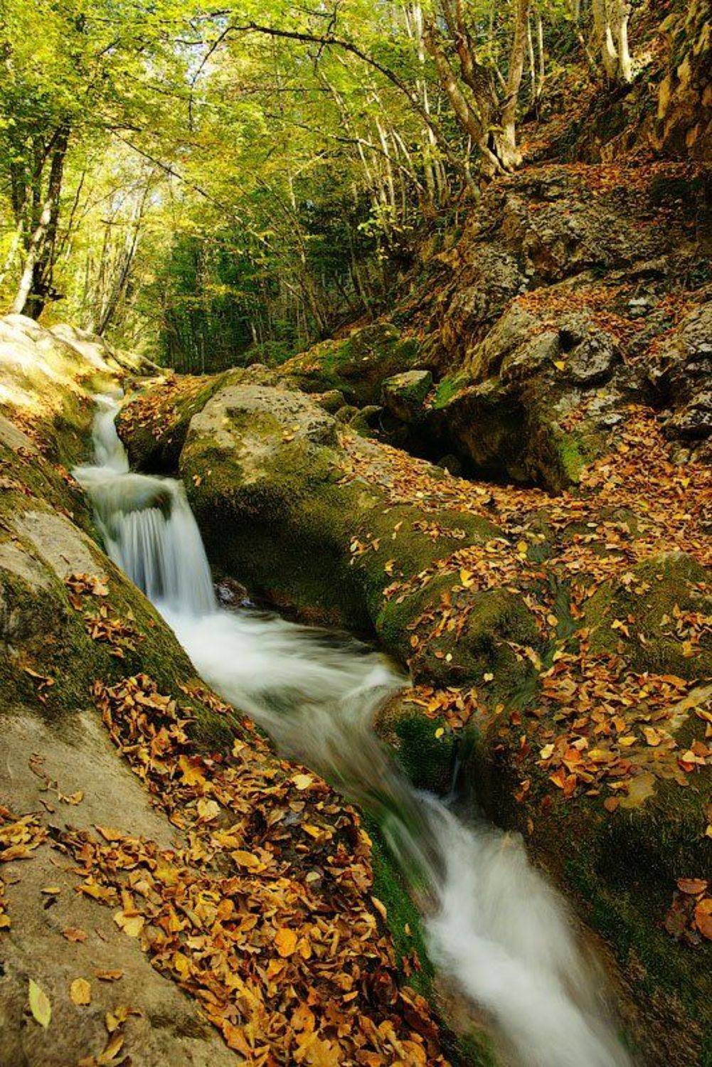 осень, речка, каньон, senjor