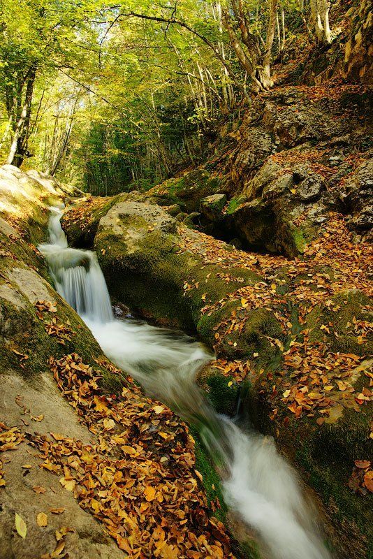 осень, речка, каньон Осень в каньоне. фото превью