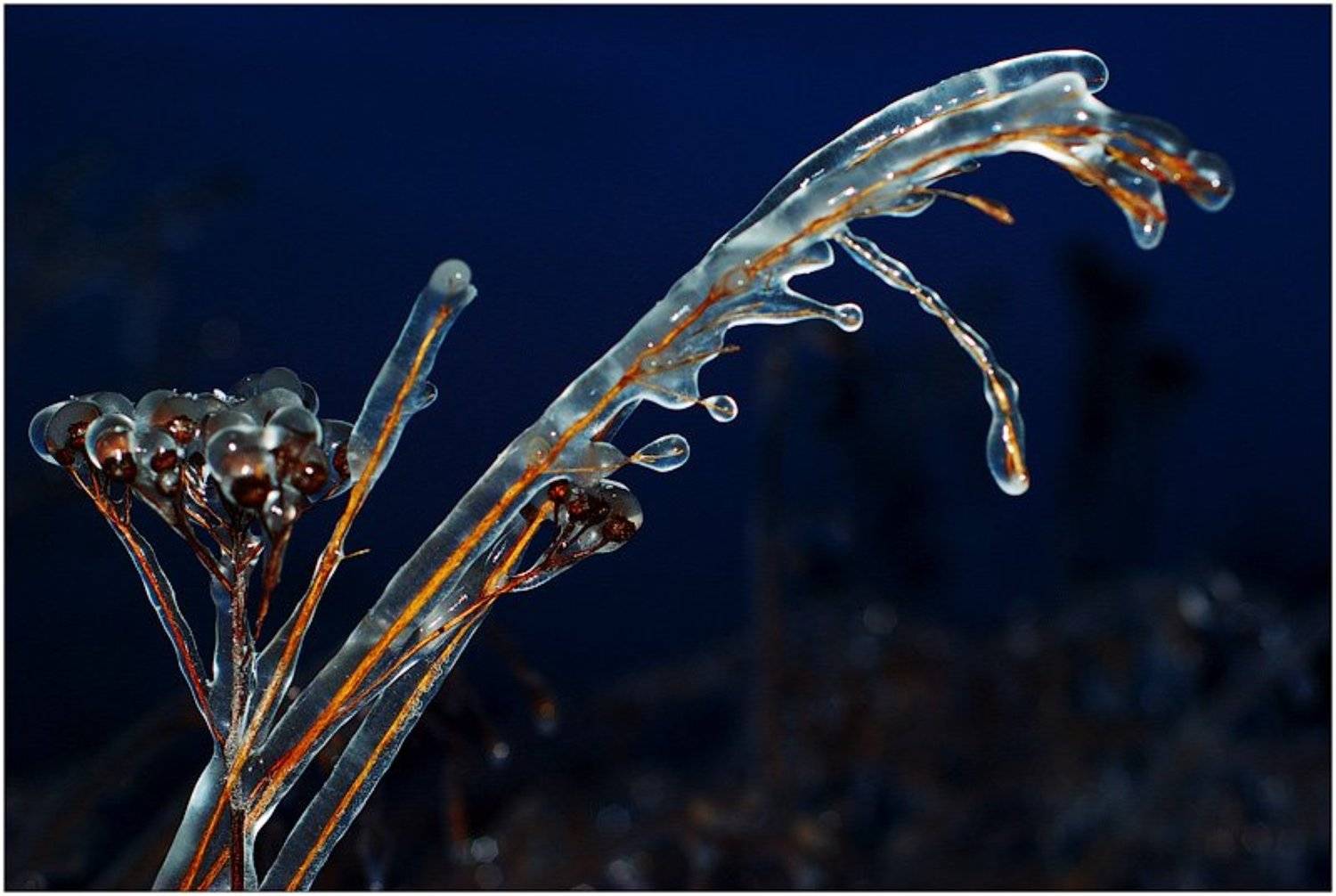 осень, вечер, лед, Константин Дмитриев