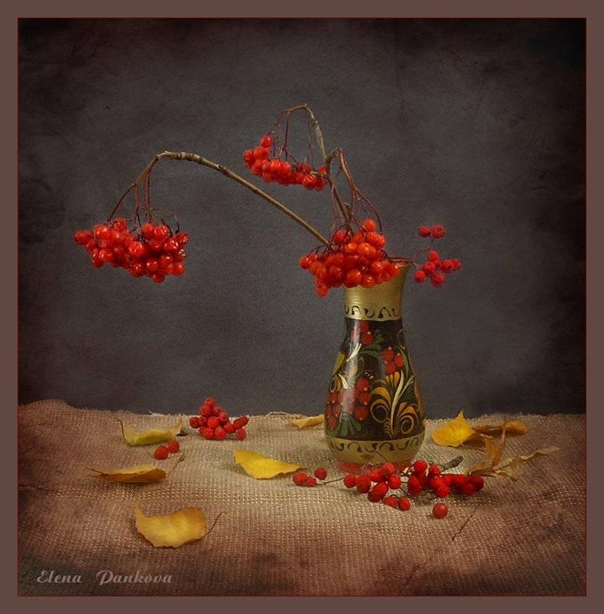 натюрморт, осень, рябина, Elena Pankova