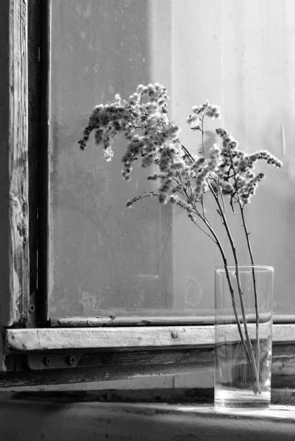 , Константин