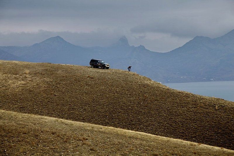 м, толстый типа на фотоохоте фото превью