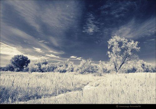 Пейзаж в альтернативных тонах. v2