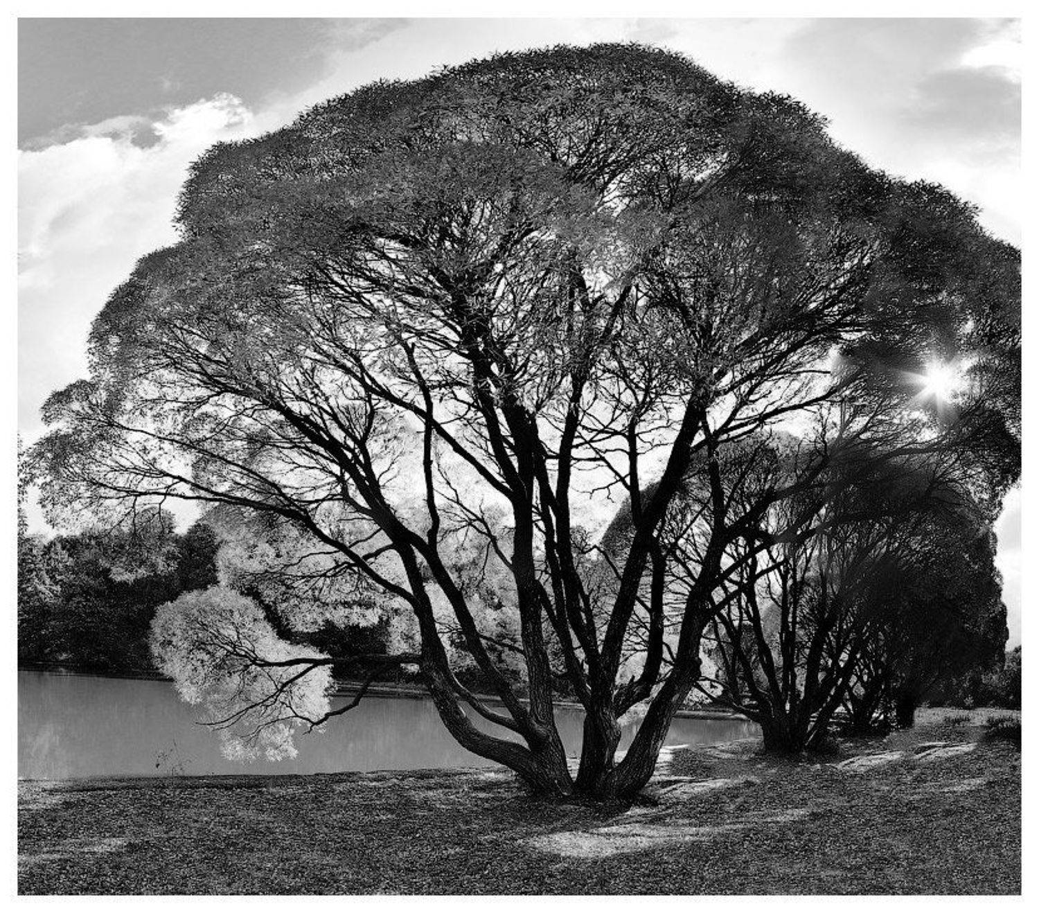 , Олег Клочков