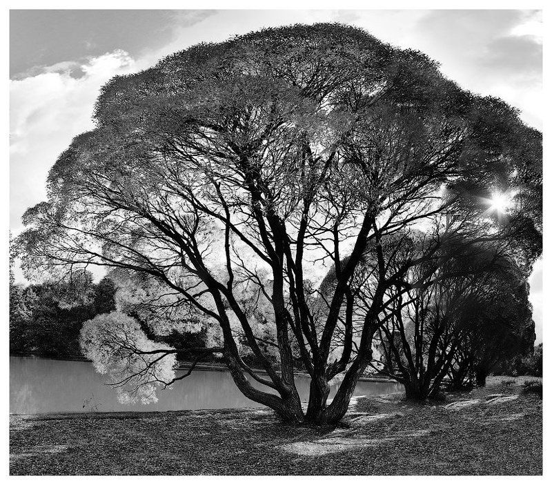 Ш Е Л К О Г Р А Ф И Я фото превью