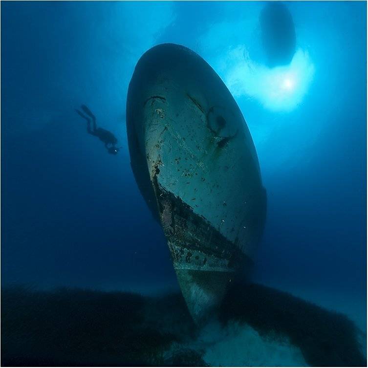 циркуляр, мальта, Сергей Шанин