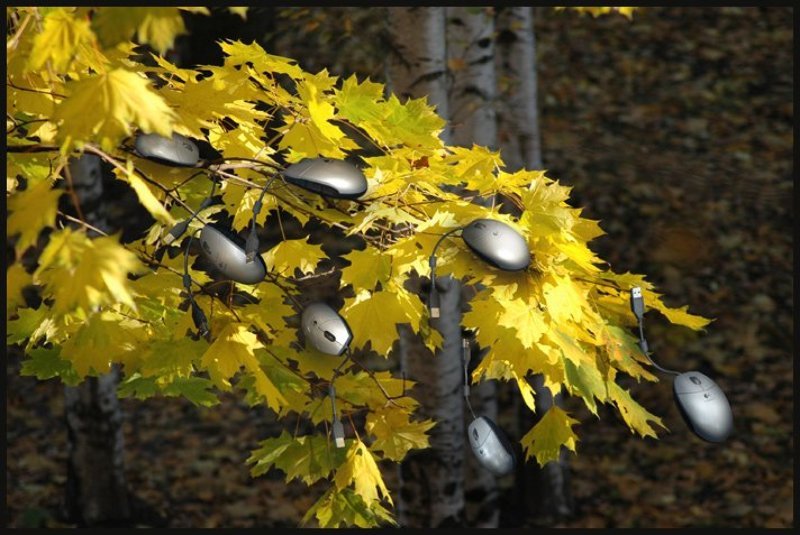 Мышата учатся летать) фото превью