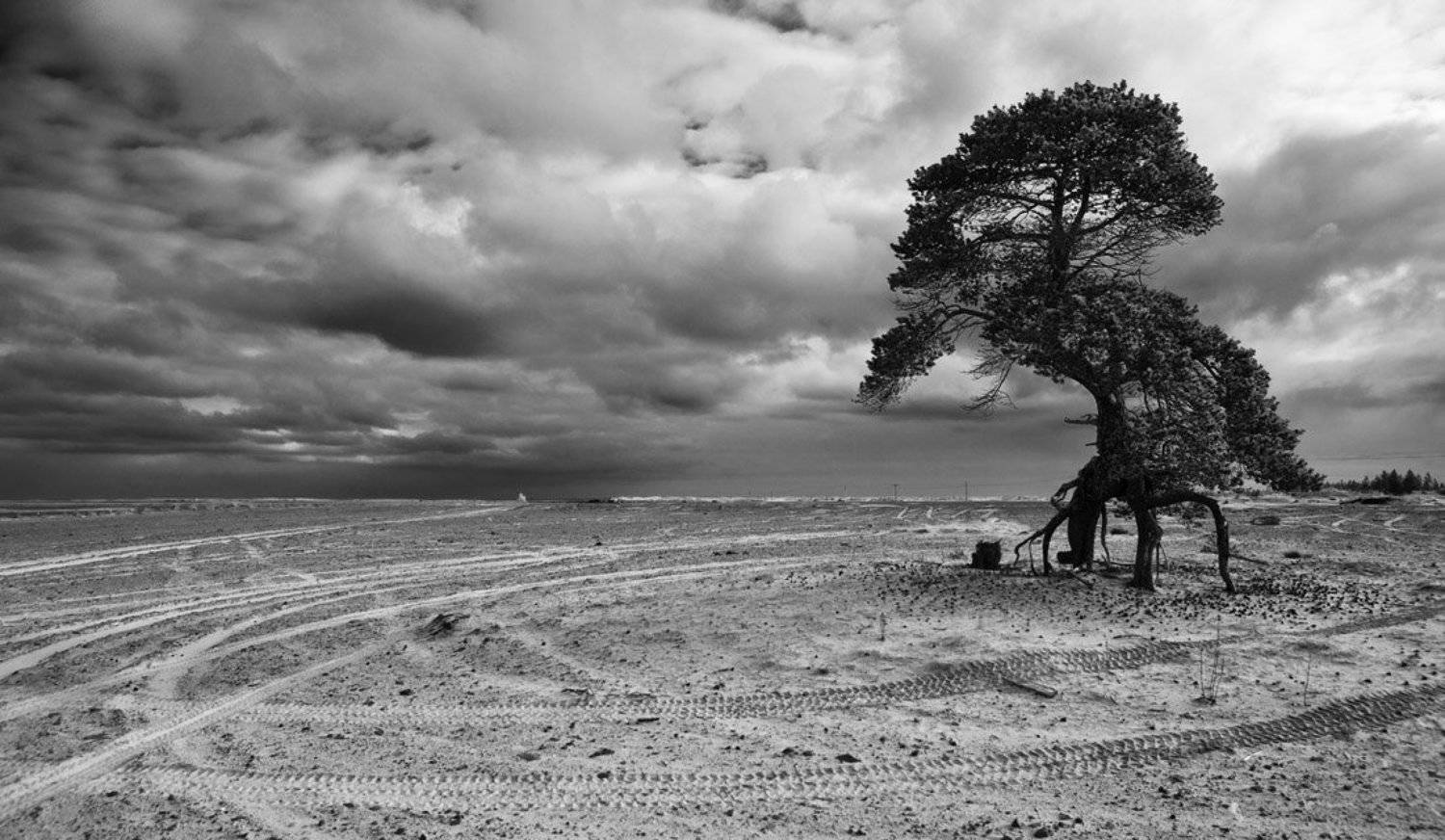 пустыня, кузомень, белое, море, Владимир Кириченко (vlkira)