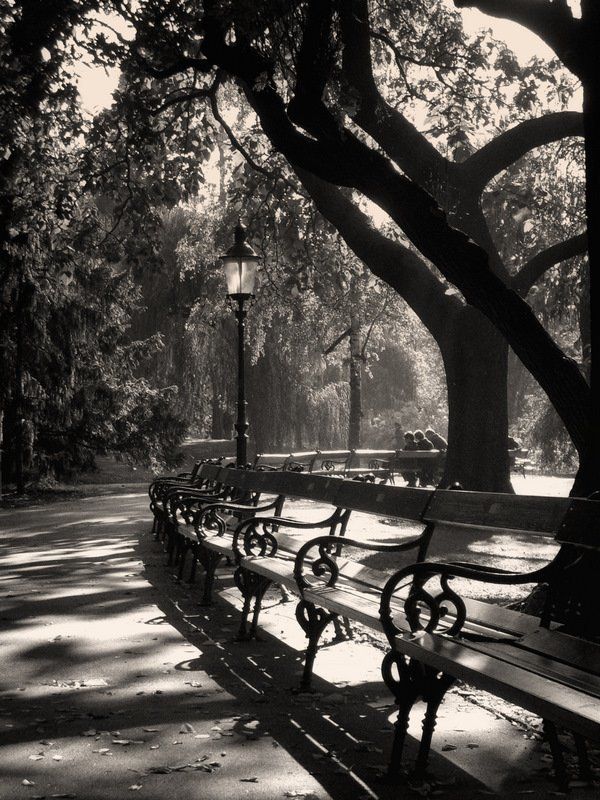 вена **** фото превью