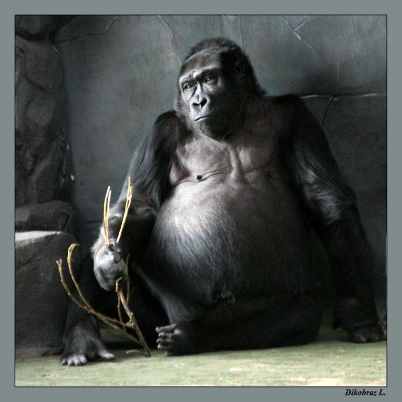 Ностальгия фото превью