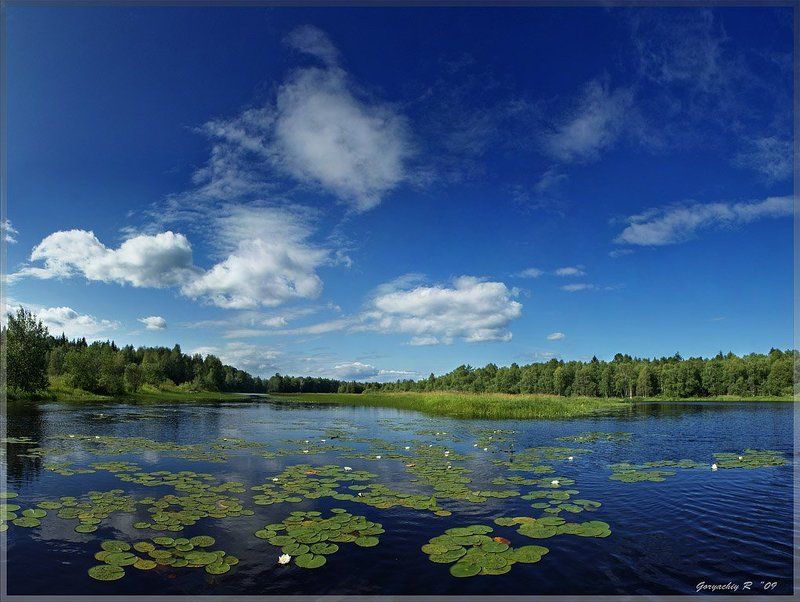 река,лето простой летний денек фото превью