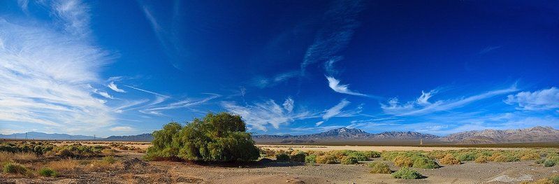 Mojave Desert (пустыня Мохаве,  граница Калифорнии и Невады) фото превью
