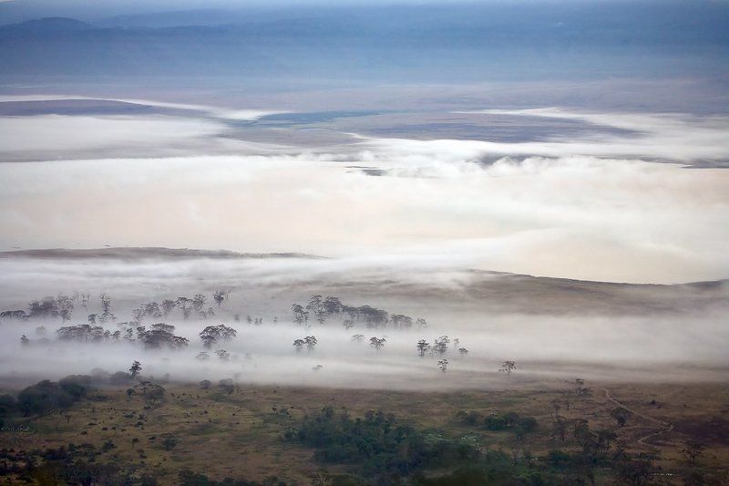 Дали туманные... фото превью