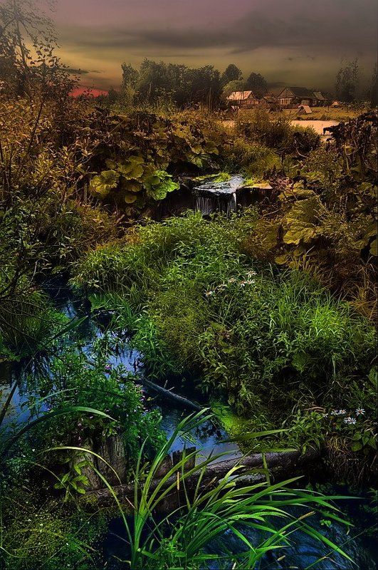 *Деревенский оазис* фото превью