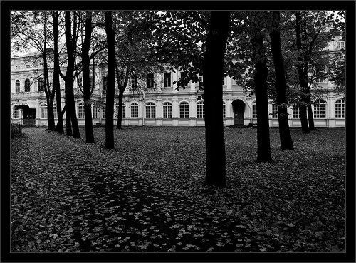 Черно-белая осень