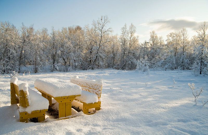 Нет больше домино... фото превью