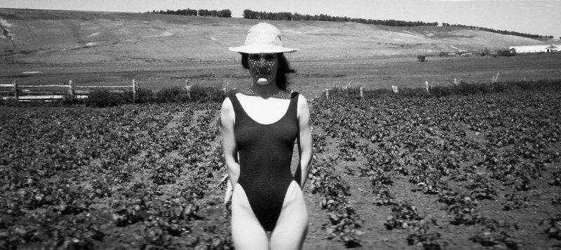 деревня, сельский  пейзаж, лето Сельская фото превью