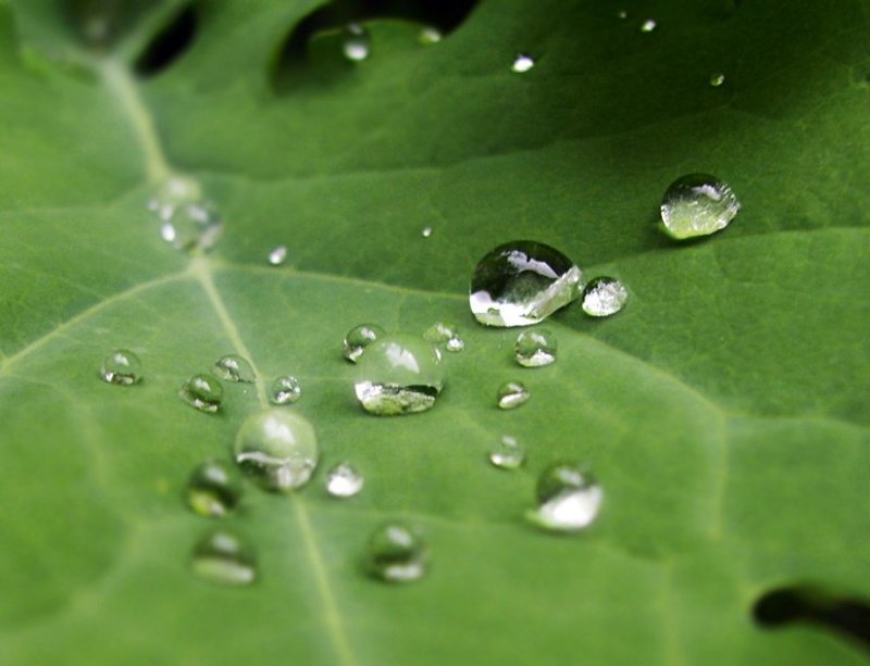 Россыпь фото превью