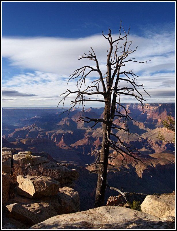 Среди камней фото превью